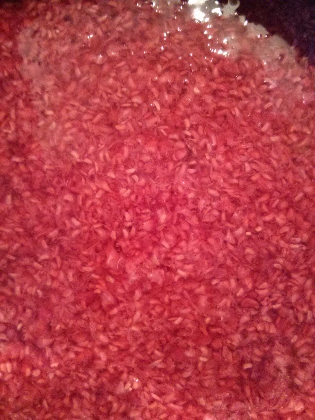 Close up of the mixture